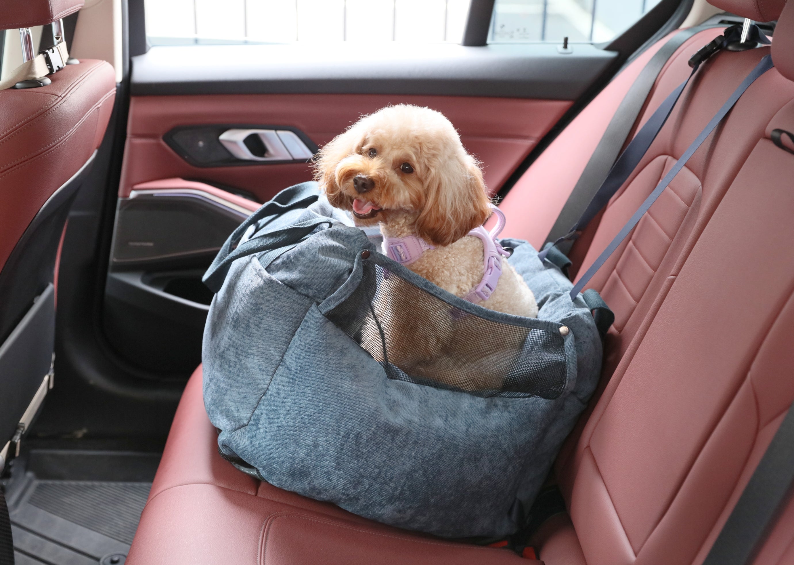 Puff Guard Dog Car Seat for Small Dogs – Convertible Travel Bag | pehomnyc (Blue)
