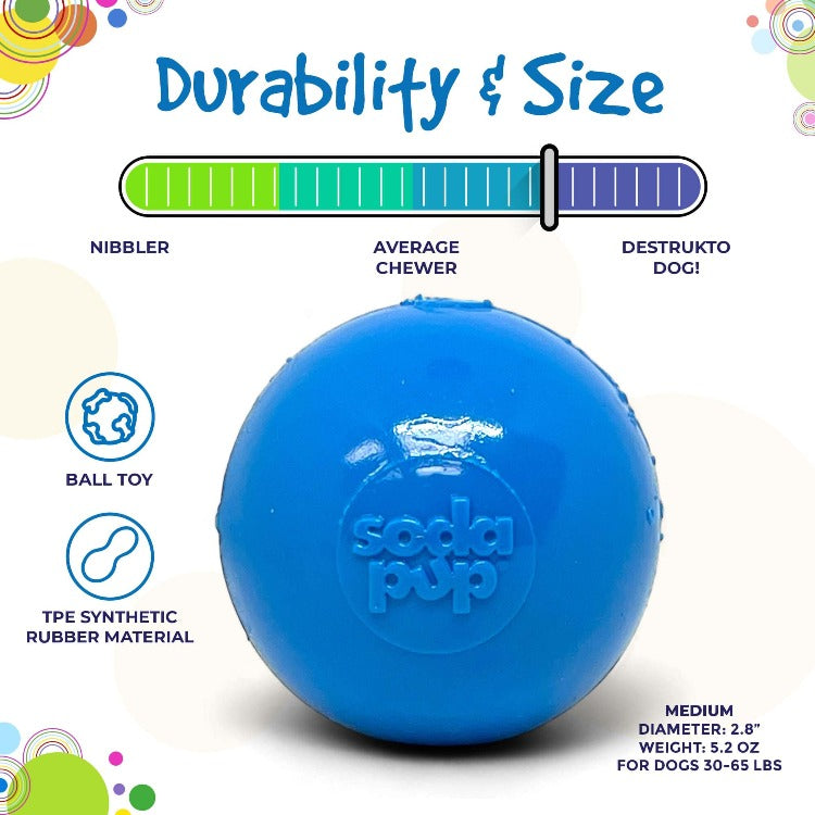 Squeak Ball – Durable Squeaky Dog Toy That Floats | USA Made