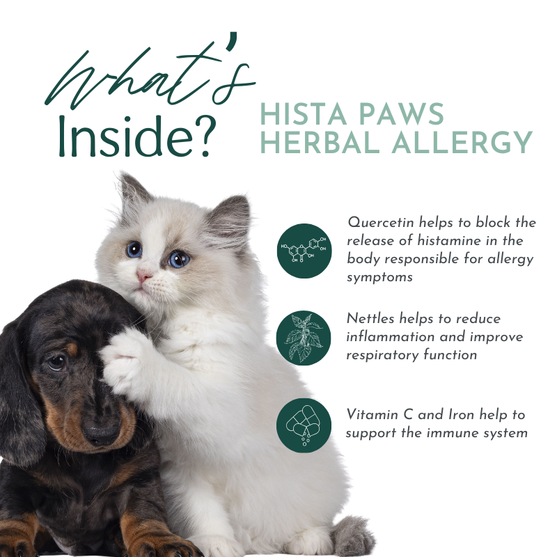 Hista Paws – Quercetin & Nettle Allergy Support for Dogs & Cats | Dr. Ruth Roberts