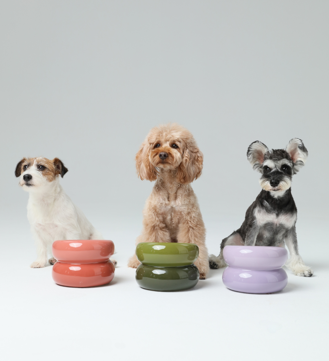 Soufflé Ceramic Dog Bowl – Purple