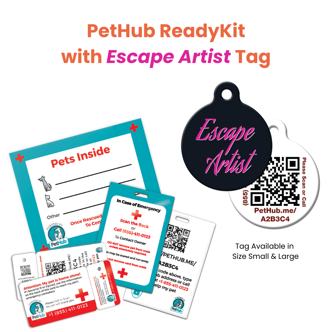 PetHub QR Pet ID Comprehensive ReadyKit – Complete Emergency Kit – Digital Pet ID Tag | Doggo Dream Shop