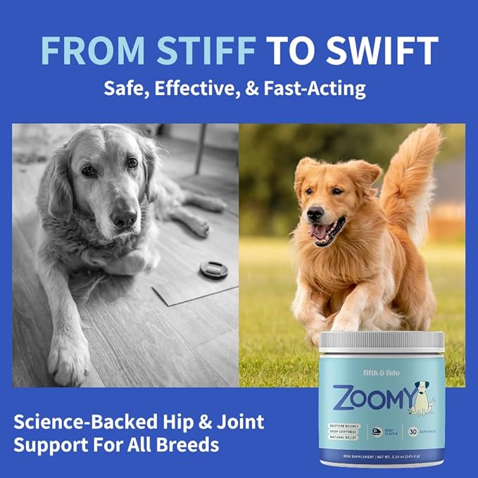 Zoomy Mushroom Blend Hip & Joint Powder for Dogs