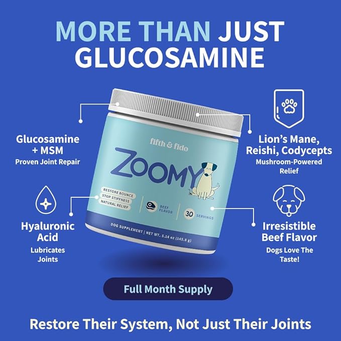 Zoomy Mushroom Blend Hip & Joint Powder for Dogs