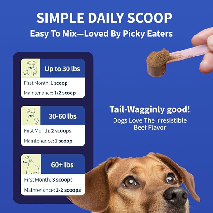 Zoomy Mushroom Blend Hip & Joint Powder for Dogs