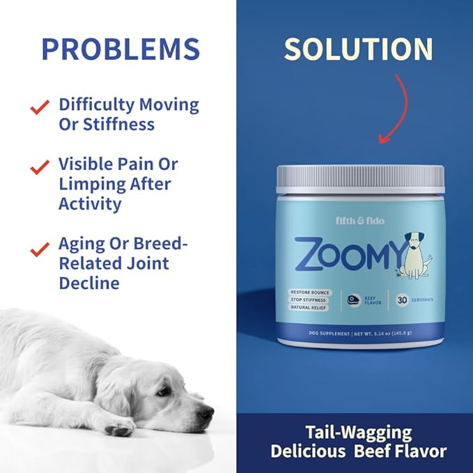 Zoomy Mushroom Blend Hip & Joint Powder for Dogs
