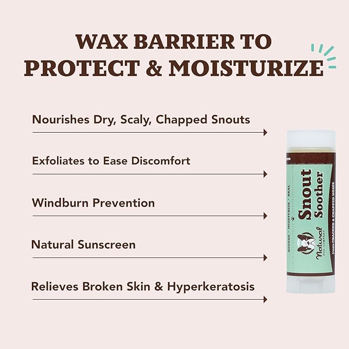 Natural Dog Company Snout Soother Bundle — 2 oz Tin + 0.15 oz Stick