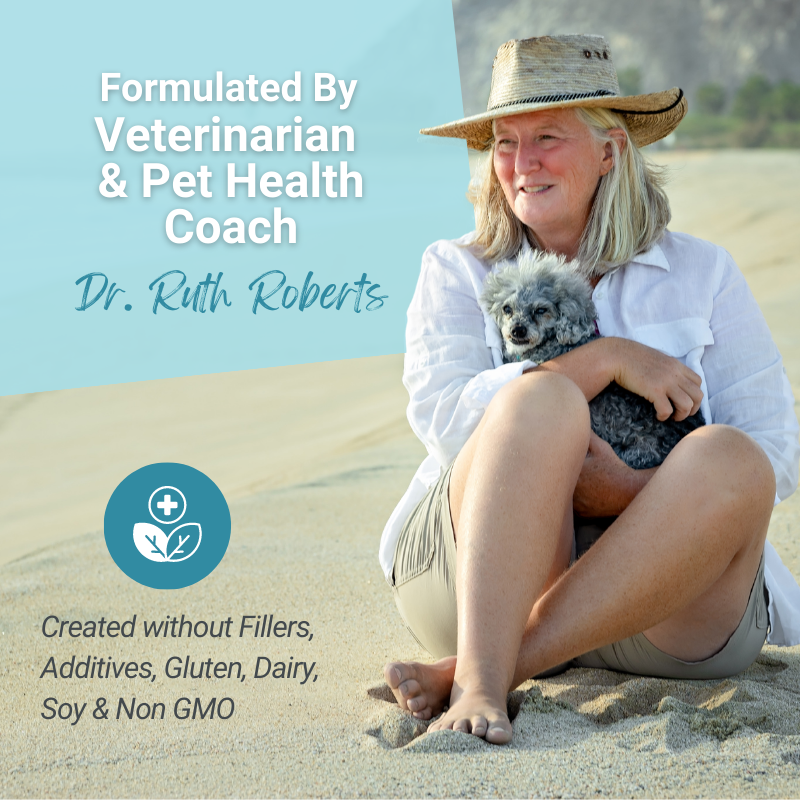 Hista Paws – Quercetin & Nettle Allergy Support for Dogs & Cats | Dr. Ruth Roberts