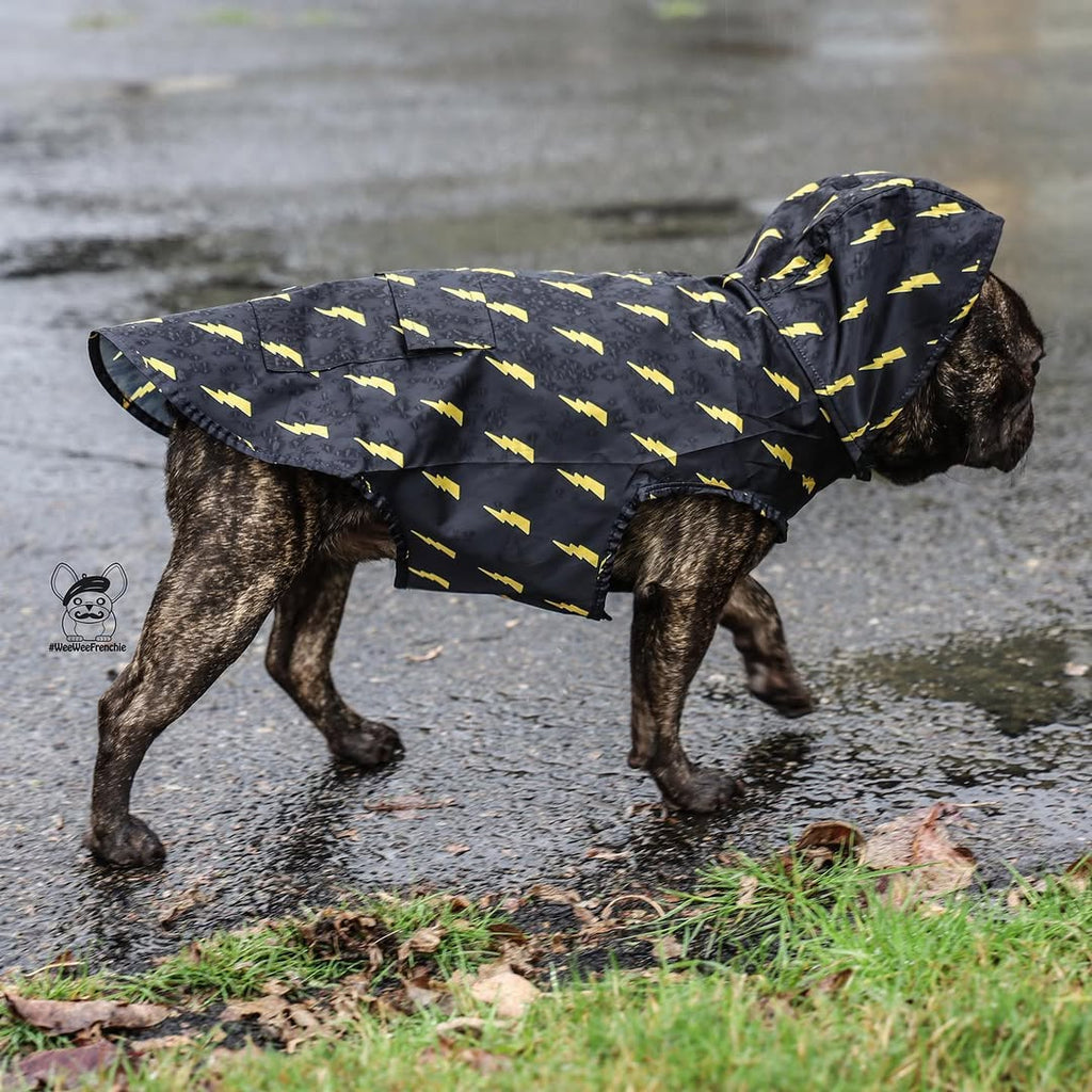 Pawgwarts Poncho – Poncho | Doggo Dream Shop