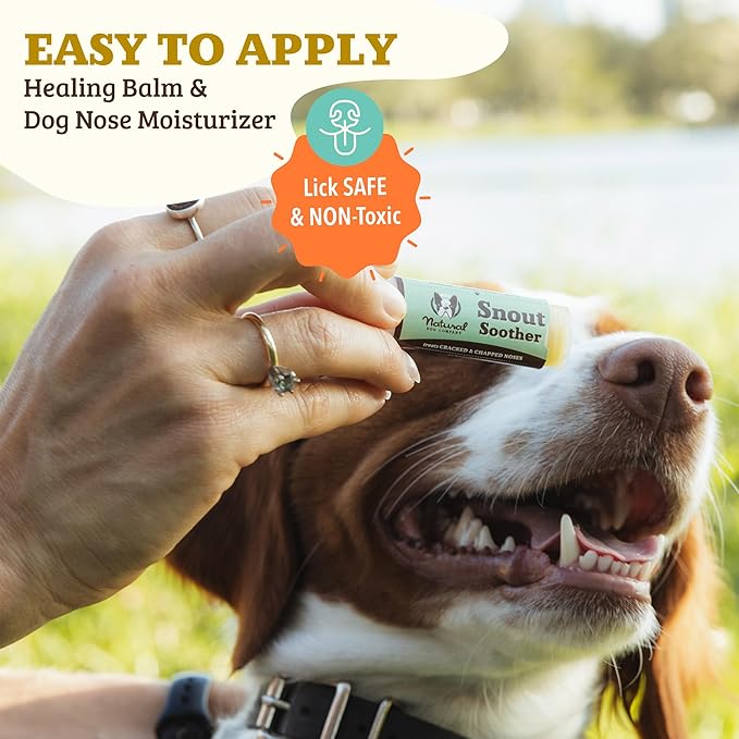 Natural Dog Company Snout Soother Bundle — 2 oz Tin + 0.15 oz Stick