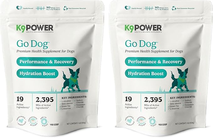 K9 Power Go Dog Hydration & Performance Drink Mix — 2-Pack