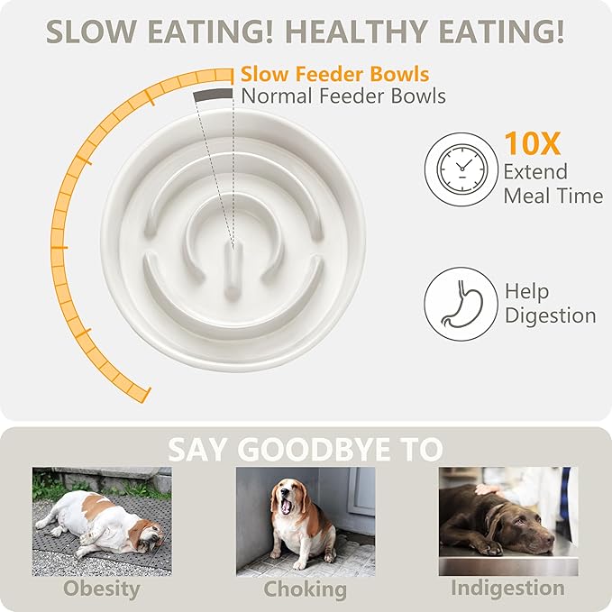 MOPANG Ceramic Elevated Slow Feeder Bowl Set for Small Dogs — White