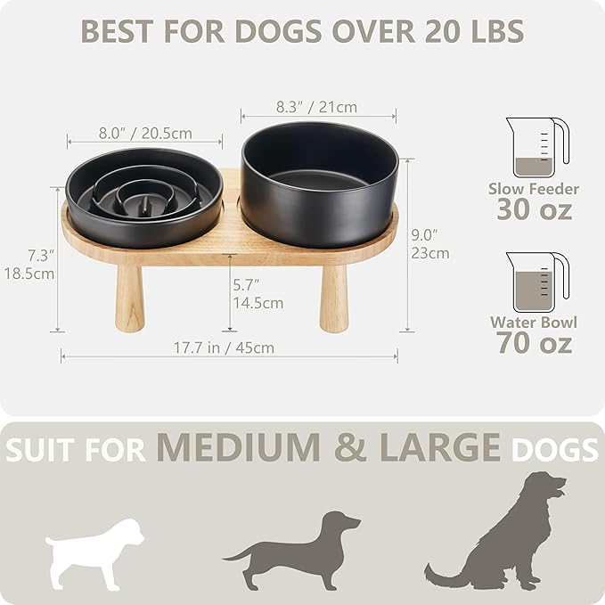MOPANG Ceramic Elevated Slow Feeder Bowl Set for Medium & Large Dogs — Black