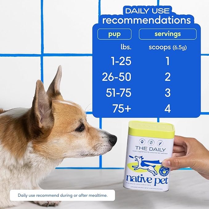Native Pet Daily Supplement + Salmon Oil Bundle — 60 Scoops