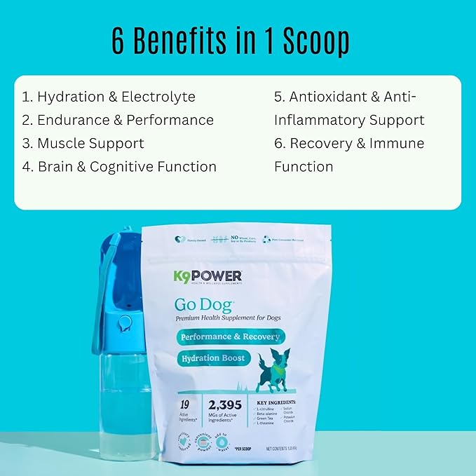 K9 Power Go Dog Hydration & Performance Drink Mix — 2-Pack