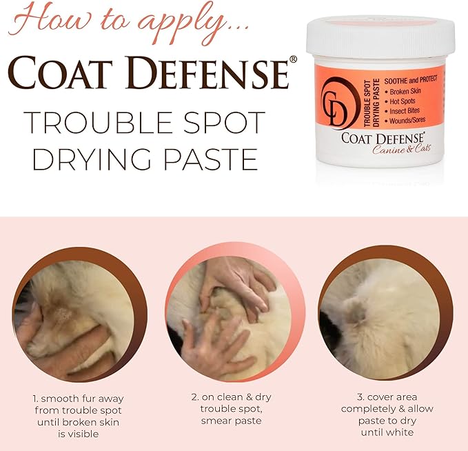 Coat Defense Trouble Spot Drying Paste — 5 oz
