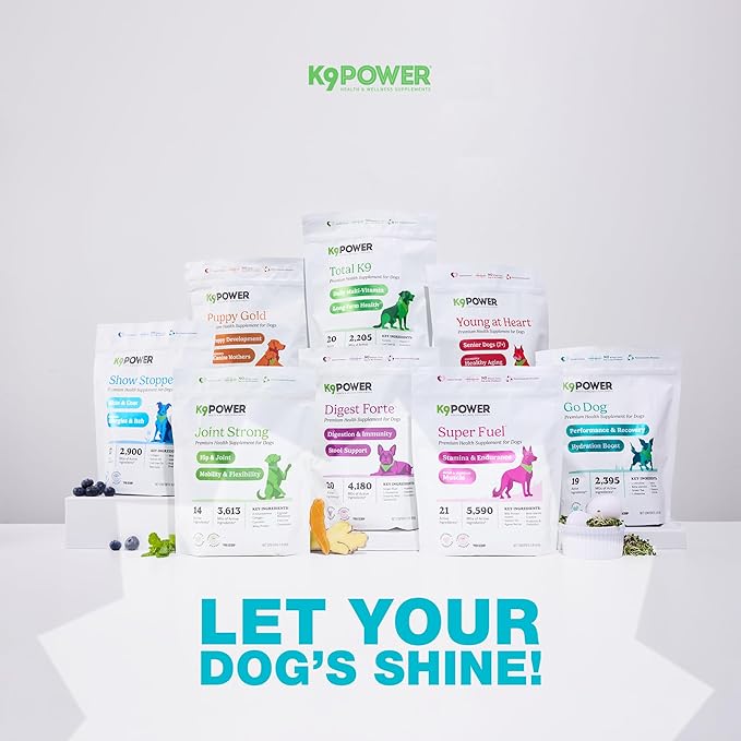 K9 Power Go Dog Hydration & Performance Drink Mix — 1 lb