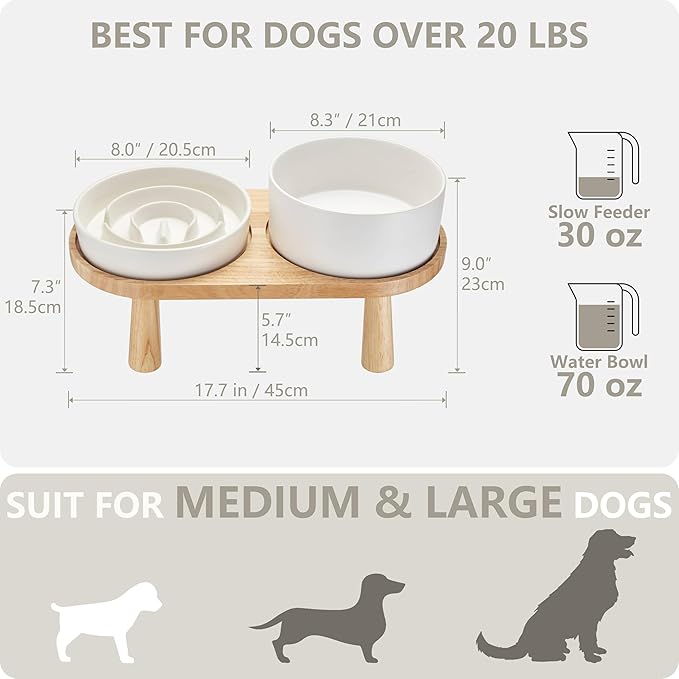 MOPANG Ceramic Elevated Slow Feeder Bowl Set for Medium & Large Dogs — White