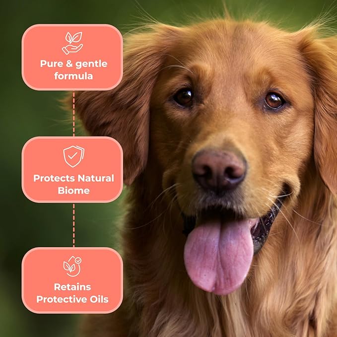 Coat Defense Paw Licker Bundle — Preventative Powder + Sensitive Shampoo