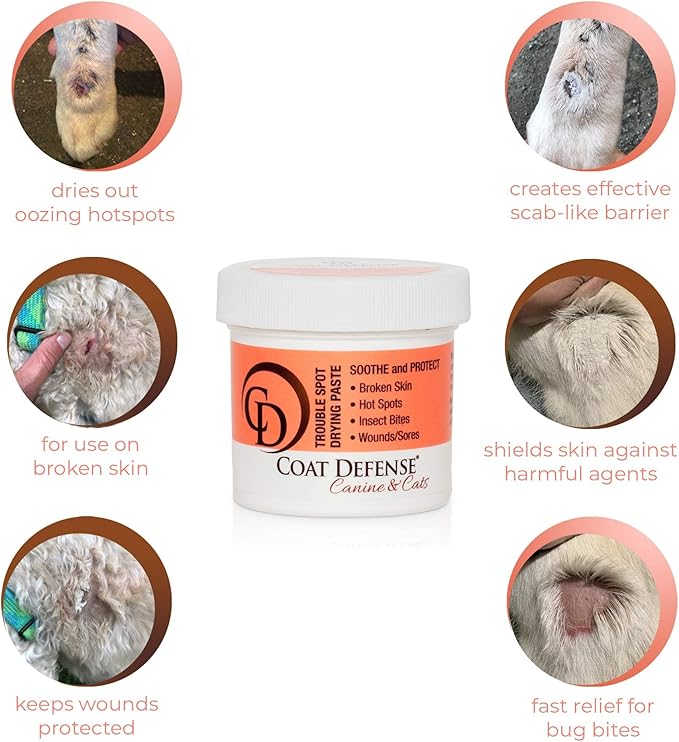 Coat Defense Trouble Spot Drying Paste — 5 oz
