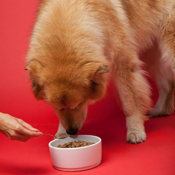 The Missing Link Senior Dog Supplement — 1 lb