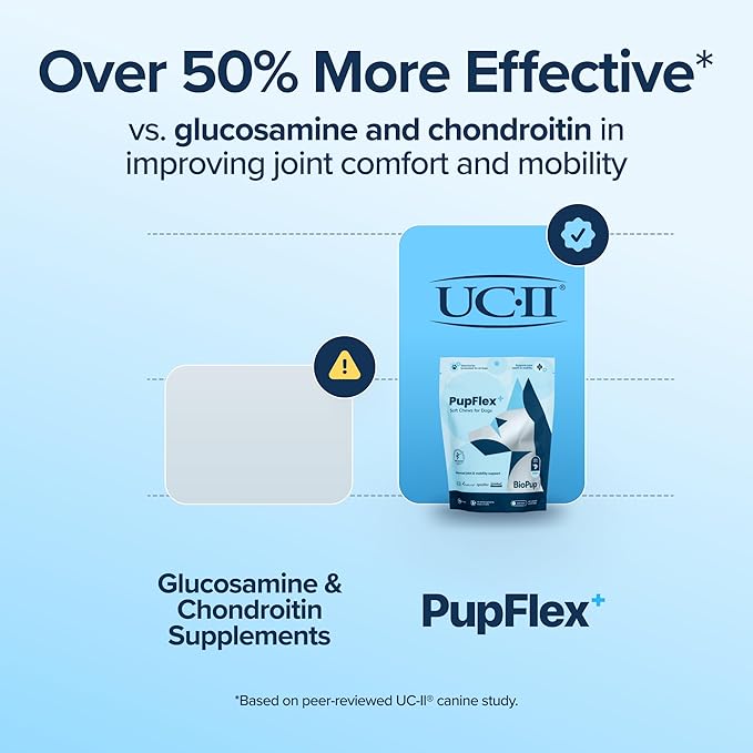 PupFlex+ Hip & Joint Supplement for Dogs — 60ct