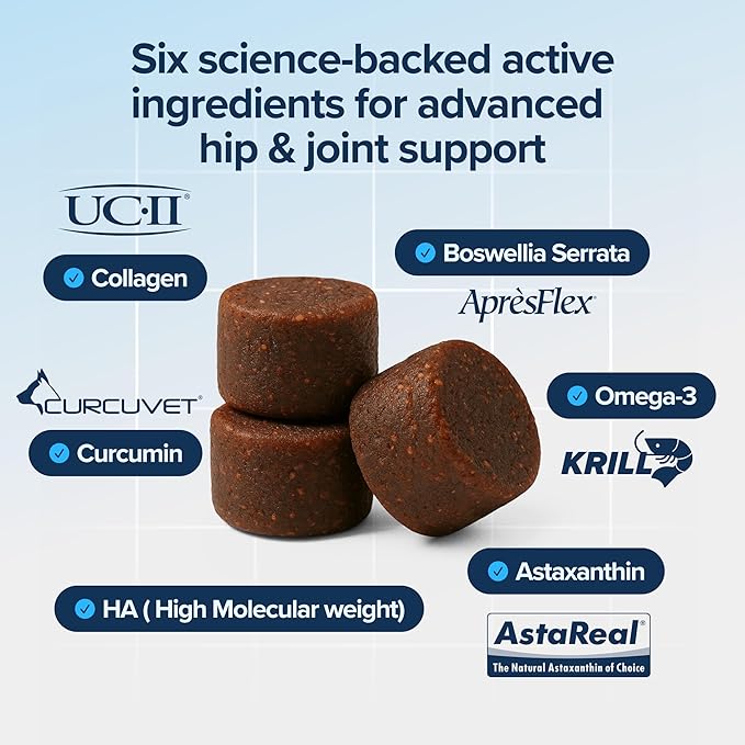 PupFlex+ Hip & Joint Supplement for Dogs — 60ct