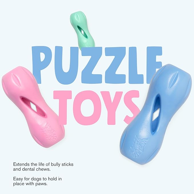 West Paw Zogoflex Qwizl — Small, Mint | Treat-Dispensing Chew Toy