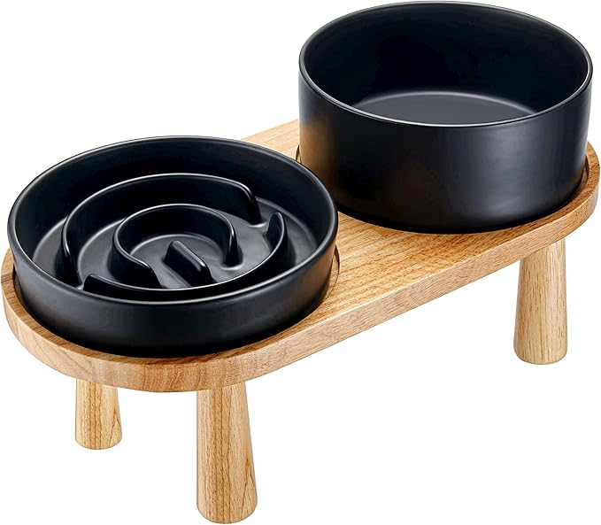 MOPANG Ceramic Elevated Slow Feeder Bowl Set for Medium & Large Dogs — Black