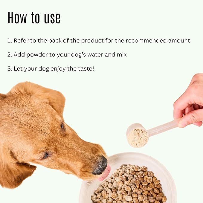 K9 Power Go Dog Hydration & Performance Drink Mix — 1 lb