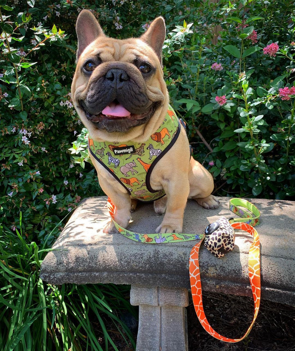 Wild Thing Reversible Harness – Reversible Harness | Doggo Dream Shop