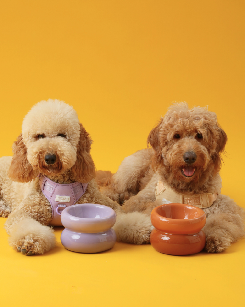 Soufflé Ceramic Dog Bowl – Purple