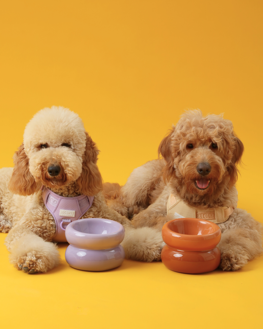 Soufflé Ceramic Dog Bowl – Purple