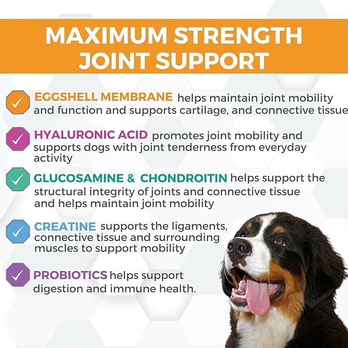 Nootie ProgilityMAX Hip & Joint Supplement for Large Dogs — 60ct