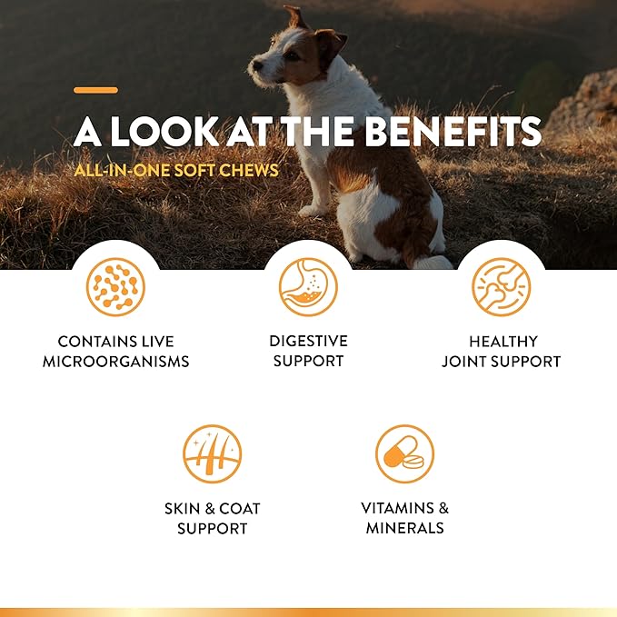 NaturVet All-in-One Dog Supplement — 120 Soft Chews
