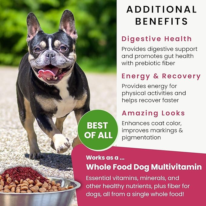 Olewo Red Beets for Dogs — 5.5 lbs