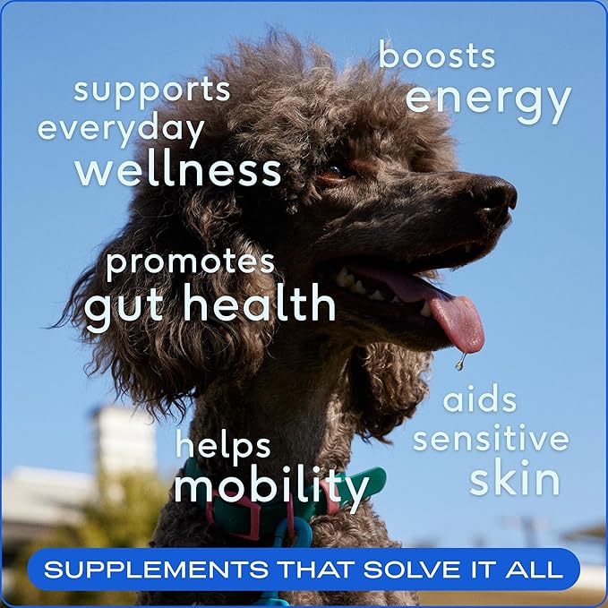 Native Pet Daily Supplement + Salmon Oil Bundle — 60 Scoops