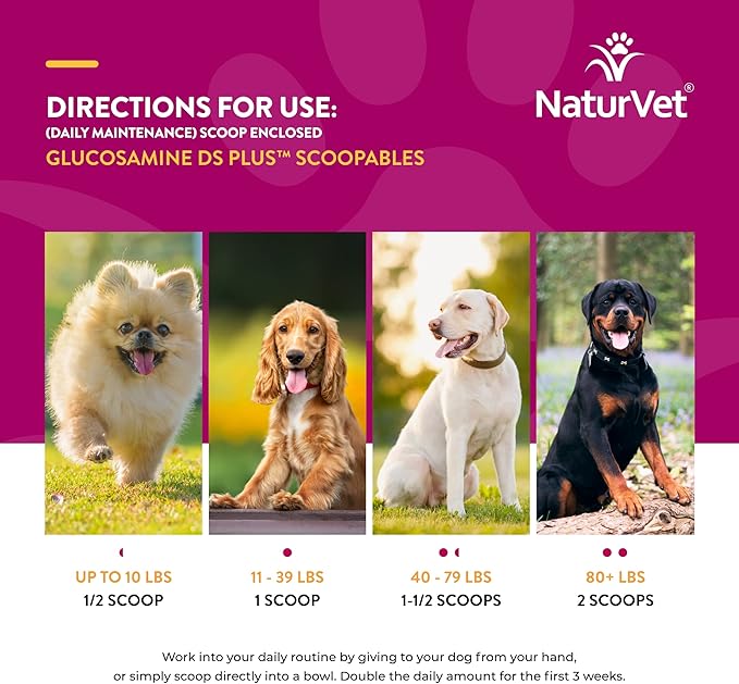 NaturVet Scoopables Glucosamine DS Plus Joint Supplement — 11 oz