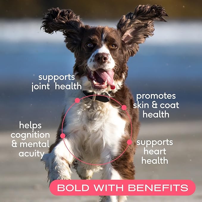 Native Pet Daily Supplement + Salmon Oil Bundle — 30 Scoops