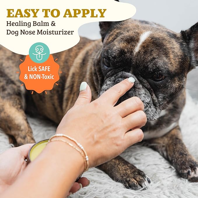 Natural Dog Company Snout Soother — Dog Nose Balm, 1 oz Tin