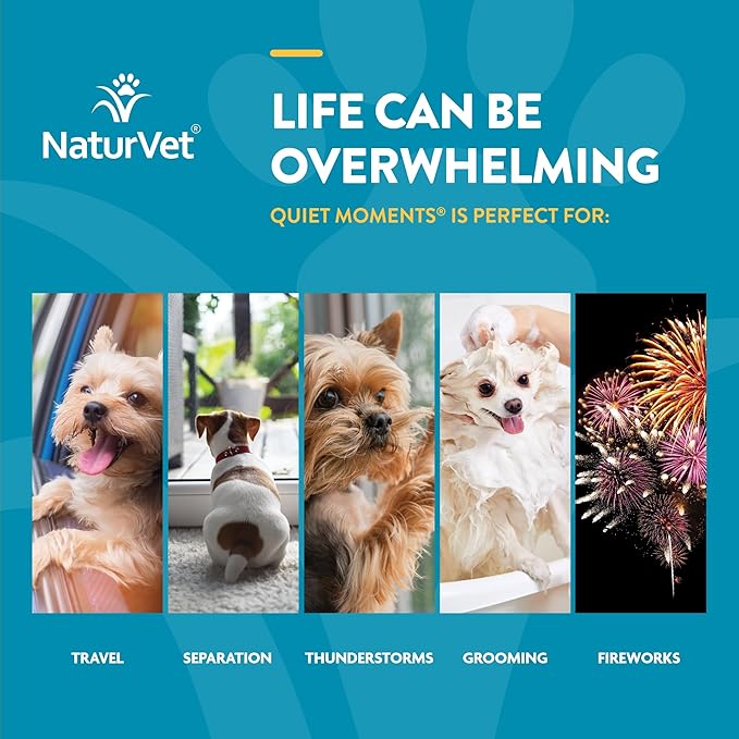 NaturVet Quiet Moments Calming Soft Chews — 65 ct | Melatonin + Chamomile