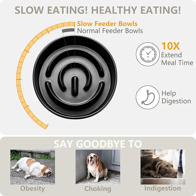 MOPANG Ceramic Elevated Slow Feeder Bowl Set for Medium & Large Dogs — Black
