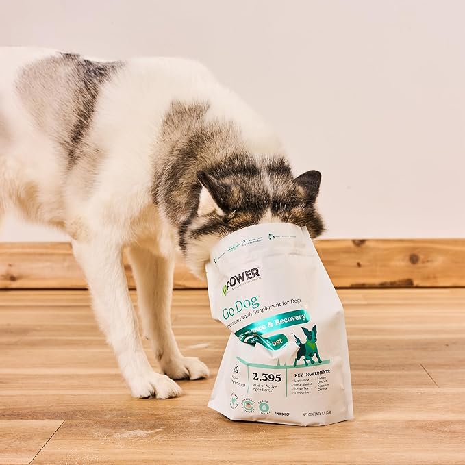 K9 Power Go Dog Hydration & Performance Drink Mix — 1 lb