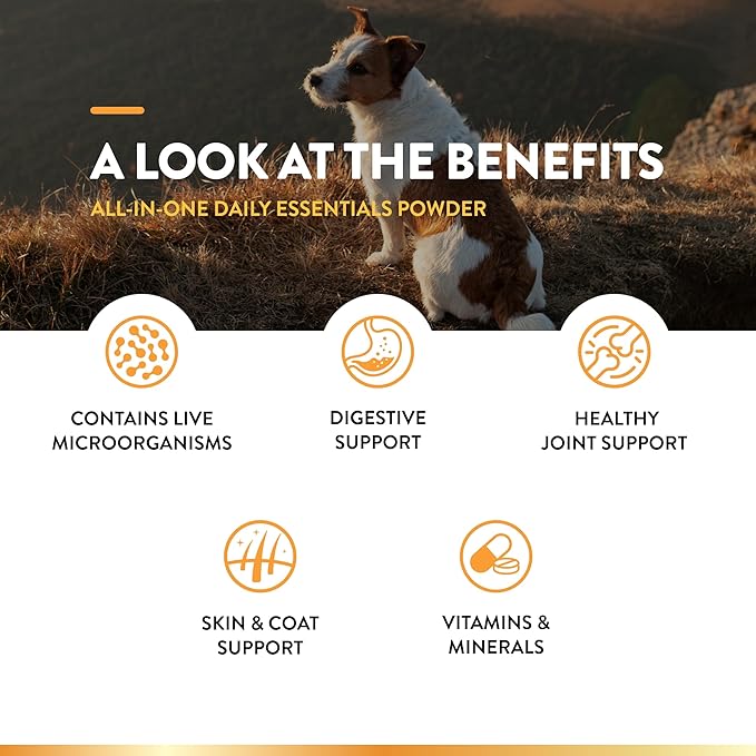 NaturVet All-in-One Dog Supplement — 13 oz Powder