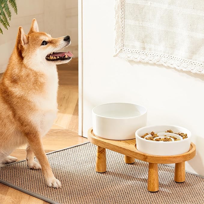 MOPANG Ceramic Elevated Slow Feeder Bowl Set for Small Dogs — White