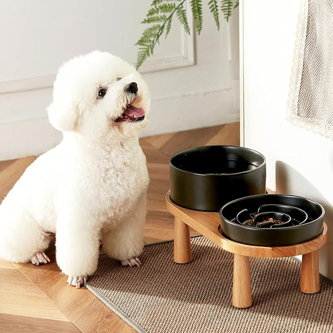 MOPANG Ceramic Elevated Slow Feeder Bowl Set for Medium & Large Dogs — Black