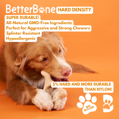 BetterBone HARD Dog Chew Toy – Natural, Eco?Friendly & Ultra?Durable – Dog Toys | Doggo Dream Shop