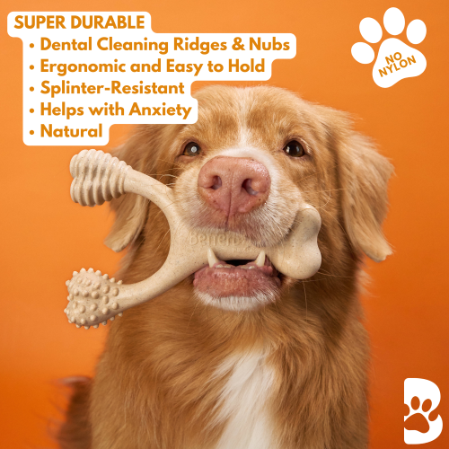 BetterBone HARD Dog Chew Toy – Natural, Eco?Friendly & Ultra?Durable – Dog Toys | Doggo Dream Shop