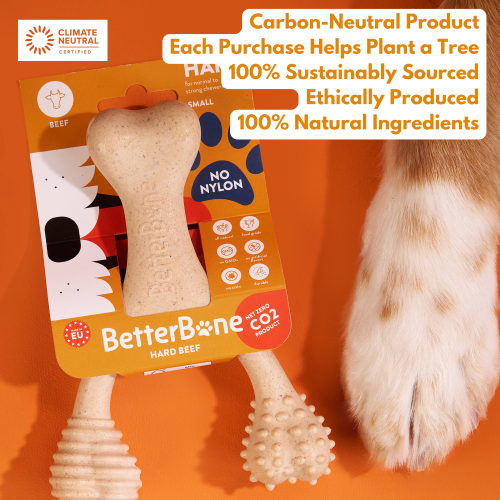 BetterBone HARD Dog Chew Toy – Natural, Eco?Friendly & Ultra?Durable – Dog Toys | Doggo Dream Shop