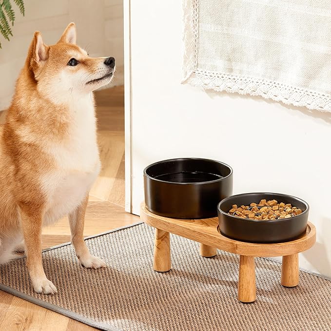 MOPANG Ceramic Elevated Slow Feeder Bowl Set for Small Dogs — Black