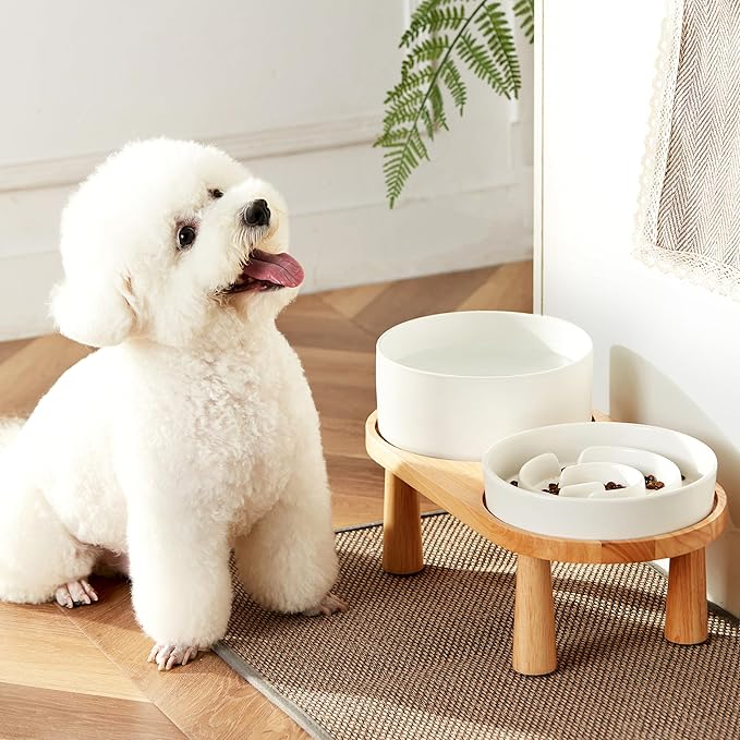 MOPANG Ceramic Elevated Slow Feeder Bowl Set for Medium & Large Dogs — White